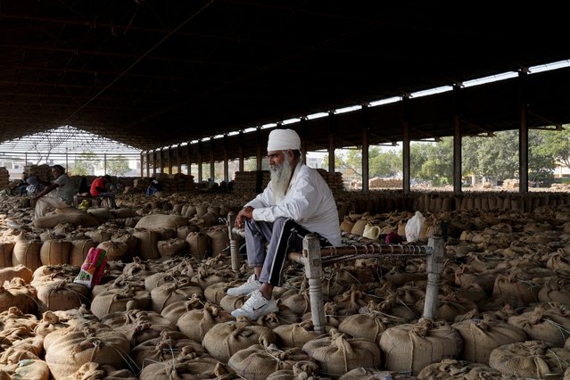 A farmer sits on a cot placed on sacks of rice crops as he waits to sell his crop in a grain market in Karnal in the northern state of Haryana, India, on October 15, 2024. (Photo by Bhawika Chhabra/Reuters)