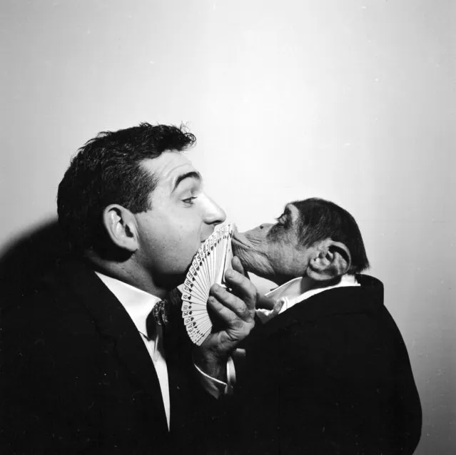 1956: Magician Nick Corrado and his monkey, Kokomo Junior