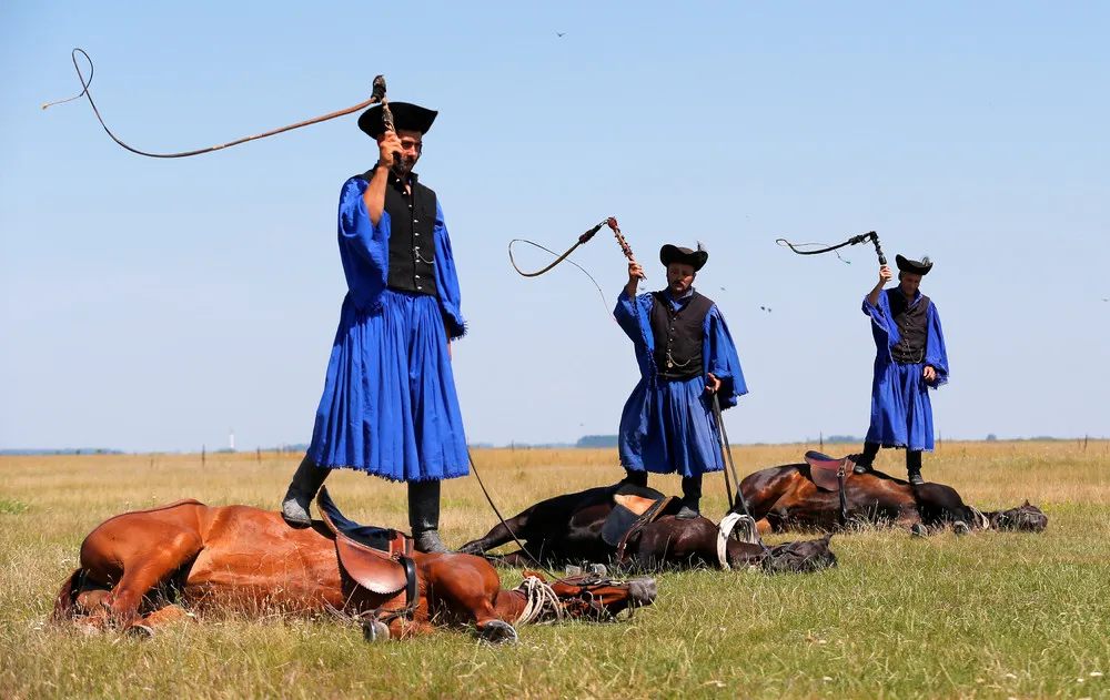 Horse Training on the Great Hungarian Plain