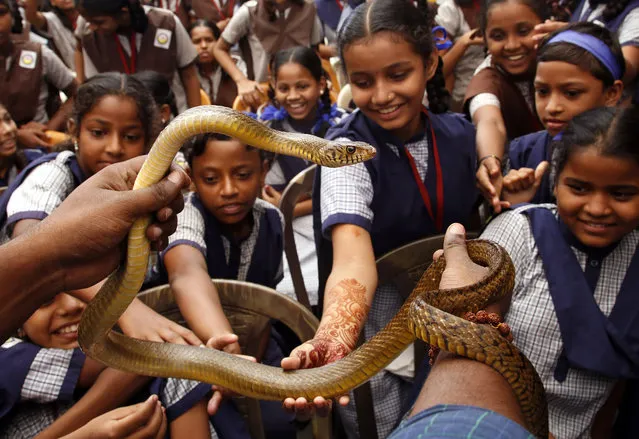 School children try to touch a snake during an awareness program on Naag Panchami festival in Mumbai, India, Wednesday, August 19, 2015. The Hindu festival of Naag Panchami is a day dedicated to the worship of snakes. (Photo by Rajanish Kakade/AP Photo)