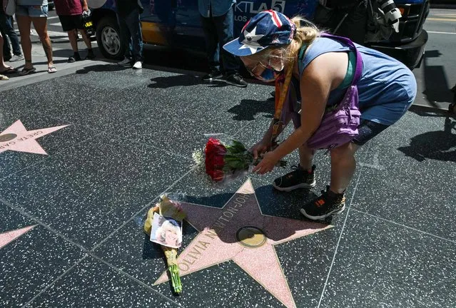 A woman places flowers on the star of Australian singer and actress Olivia Newton-John on the Hollywood Walk of Fame in Hollywood, California, on August 8, 2022. Australian singer Olivia Newton-John, who gained worldwide fame as high-school sweetheart Sandy in the hit musical movie “Grease”, died on August 8, 2022, her family said. She was 73. The entertainer, whose career spanned more than five decades, devoted much of her time and celebrity to charities after being diagnosed with breast cancer in 1992. (Photo by Robyn Beck/AFP Photo)