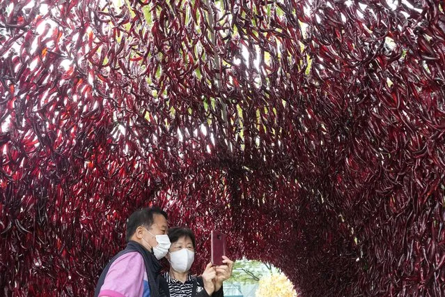 A couple wearing face masks takes a selfie photo inside a tunnel made with hot red peppers during H.O.T Festival at the Seoul City Hall plaza in Seoul, South Korea, Monday, August 29, 2022. (Photo by Ahn Young-joon/AP Photo)