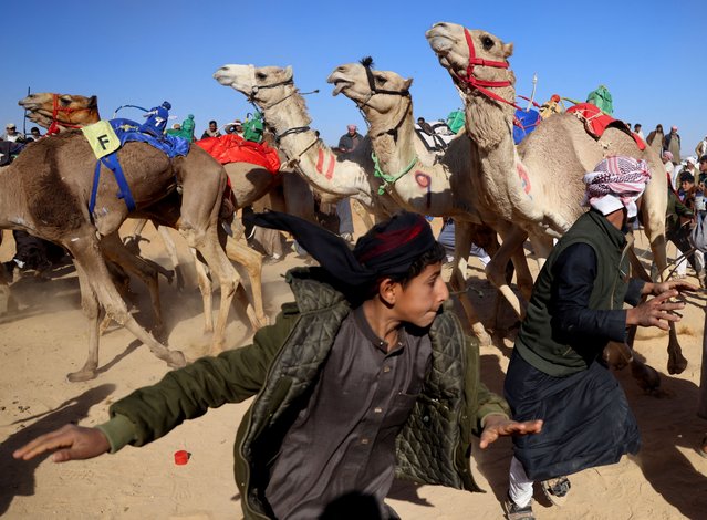 Bedouin breeders run near camels ridden by robot jockeys during the start of the Ismailia Camel Racing Festival which is known as “Sebaq Al-Hagen” in Arabic, that was stopped for 5 years during the period of the coronavirus disease (COVID-19) pandemic, as it restarts in 2025 to enhance the movement of tourism and create economic opportunities, at the Sarabium desert in Ismailia, Egypt, on February 27, 2025. (Photo by Amr Abdallah Dalsh/Reuters)