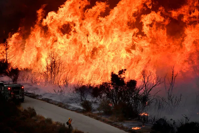 Fire fighters attack the Thomas Fire’s north flank with backfires as they continue to fight a massive wildfire north of Los Angeles, near Ojai , California, U.S., December 9, 2017. (Photo by Gene Blevins/Reuters)