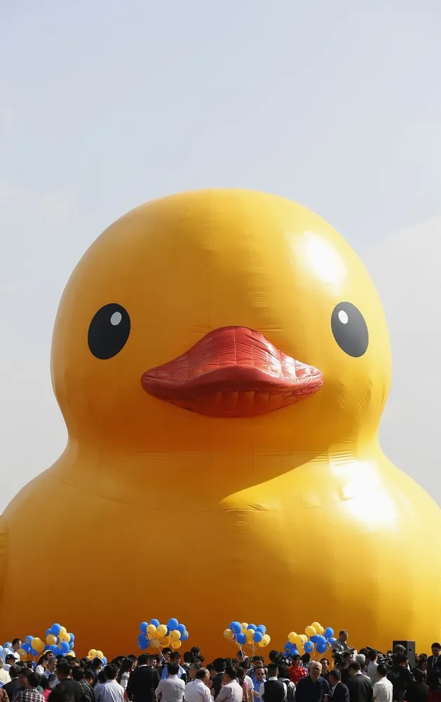 The Week in Pictures: October 18 – October 25, 2014. Part 4/5