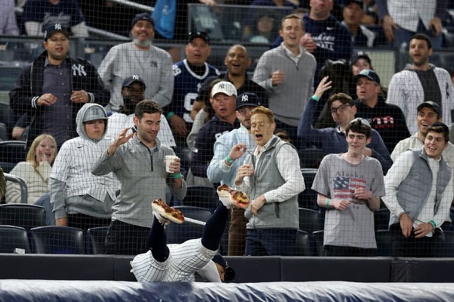 New York Yankees third baseman Oswald Peraza falls over a tarp as he catches a foul ball during a Major League Baseball game against the Texas Rangers on Tuesday, May 20, 2025. (Photo by Al Bello/Getty Images)