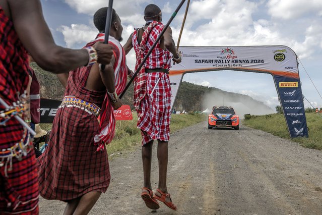 Maasai men jump at the finish line as Hyundai Shell Mobis World Rally Team's Estonian driver Ott Tanak steers his Hyundai i20 N Rally1 Hybrid with Estonian co-driver Martin Jarveoja during the final stage of the World Rally Championship (WRC) Safari Rally Kenya in Naivasha, on March 31, 2024. (Photo by Luis Tato/AFP Photo)