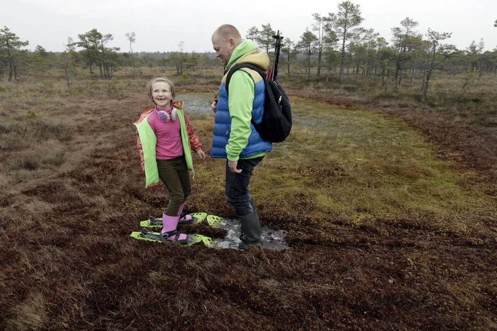 Tour of the Great Kemeri Bog in Latvia