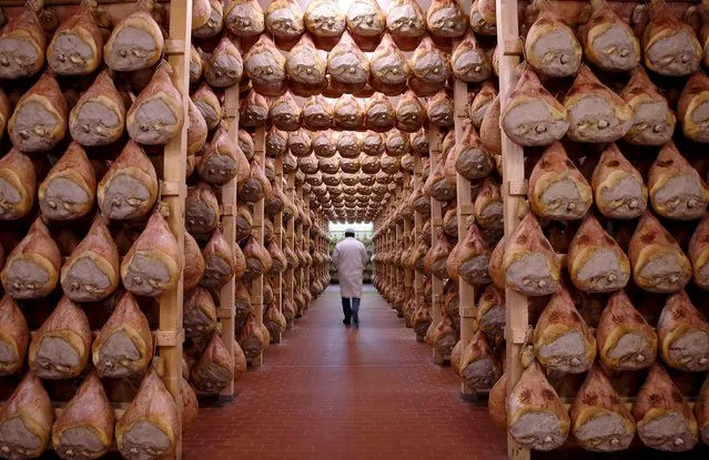 A worker walks in a special room where Parma ham are hung to dry in Langhirano, near Parma, in this October 13, 2009 file photo. The home of Parma ham, trumpeting the benefits of a traditional Mediterranean diet, is urging consumers not to get into a prosciutto panic after a warning that processed meat can cause cancer. (Photo by Stefano Rellandini/Reuters)