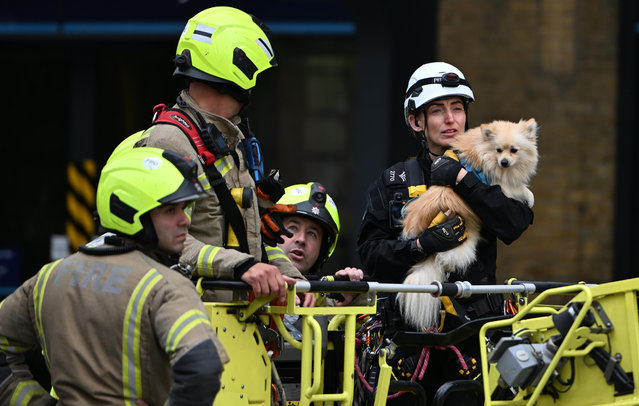 Emergency responders retrieve the dog from the protester A demonstrator and his dog climbed the clock tower at Kings Cross station, London, on Tuesday morning, September 2, 2025 with his dog and unveiled a banner calling for freedom in Iran. The actions attracted a large emergency service presence and resulted in delays to services. (Photo by Mike Ruane/Story Picture Agency)