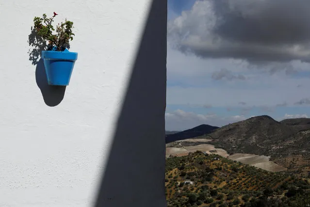 A flower pot is mounted on a wall in the white village of Olvera, southern Spain September 14, 2016. (Photo by Marcelo del Pozo/Reuters)