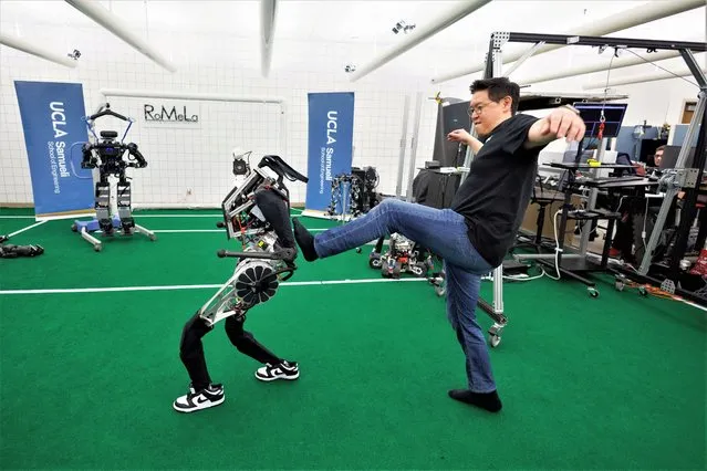 Dennis Hong a professor of Mechanical & Aerospace Engineering at UCLA Samueli School of Engineering attempts to impede the movement of ARTEMIS, a full-sized humanoid robot with first-of-its-kind technology in Los Angeles, California, U.S., April 13, 2023. (Photo by Mike Blake/Reuters)