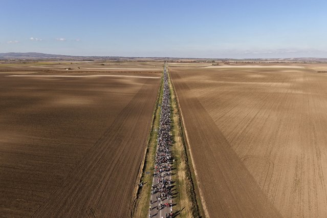 An aerial view of students marching through the fields in northern Serbia, as they go to Novi Sad for a huge rally on Nov. 1 marking the first anniversary of a train station disaster that killed 16 people, in Indjija, Serbia, Friday, October 31, 2025. (Photo by Armin Durgut/AP Photo)