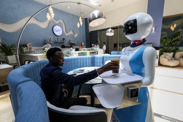 Baraka Learat (L) takes his drink after being delivered by a robotic waiter (R) at the Robot Café, the first robotic restaurant in East Africa and the second on the continent to employ humanoid robots as waiters, in Kileleshwa, Nairobi, Kenya, 29 August 2024. The restaurant has been attracting tech enthusiasts and foodies since its launch two months ago. Baraka Learat, a 25-year-a first-time visitor, was captivated by this blend of technology and human interaction. “At first, I thought it was a joke, but it’s real. The robot came up, slowed down, and said, ‘Welcome.’ I wasn’t expecting that”, he says, clearly impressed. “It’s an exciting experience. I’ll definitely come back. The robots are a peek into the future, even though there’s still a human touch missing”. Despite the futuristic setup, Robot Café employs 52 staff members who work alongside the robots. Far from replacing human jobs, the robots enhance the dining experience and work in tandem with the staff. “Technology is here to stay”, the cafe manager John Kariuki notes. “The robots complement our service rather than replace it”. (Photo by Daniel Irungu/EPA/EFE)