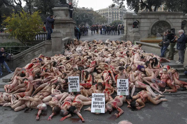 Animal rights activists pose naked and stained with fake blood as they play dead during a protest against the use of animal fur in clothing in Barcelona, northeastern Spain, 06 December 2015. (Photo by Quique Garcia/EPA)