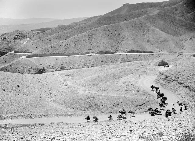 A caravan of mules and camels cross the high, winding trails of the Lataband Pass in Afghanistan on the way to Kabul, on October 8, 1949. (Photo by Max Desfor/AP Photo via The Atlantic)