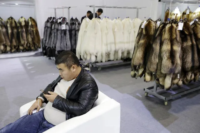 A buyer sit next to the fur of farmed fox on display at the 2015 China Fur and Leather Products Fair in Beijing, January 15, 2015. (Photo by Jason Lee/Reuters)