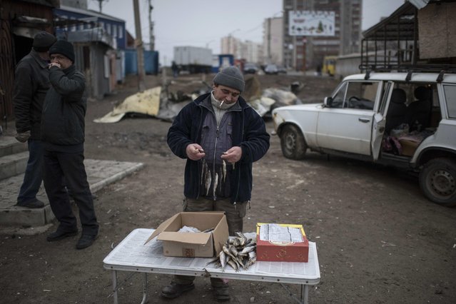A man sorts out fish at a market situated in the district that was shelled on Saturday, in Mariupol, Ukraine, Wednesday, January 28, 2015. (Photo by Evgeniy Maloletka/AP Photo)