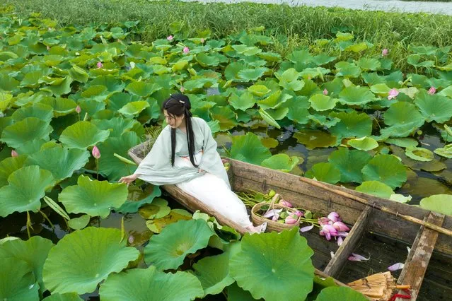 This photo taken on July 10, 2023 shows an aerial view of a woman dressed in traditional clothes viewing lotus plants in Taizhou, in China's eastern Jiangsu province. (Photo by AFP Photo/China Stringer Network)