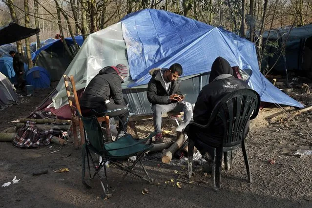 A migrant checks his mobile phone next to shelters in a muddy field called the Grande-Synthe jungle, near Dunkirk, northern France, January 12, 2016. (Photo by Benoit Tessier/Reuters)