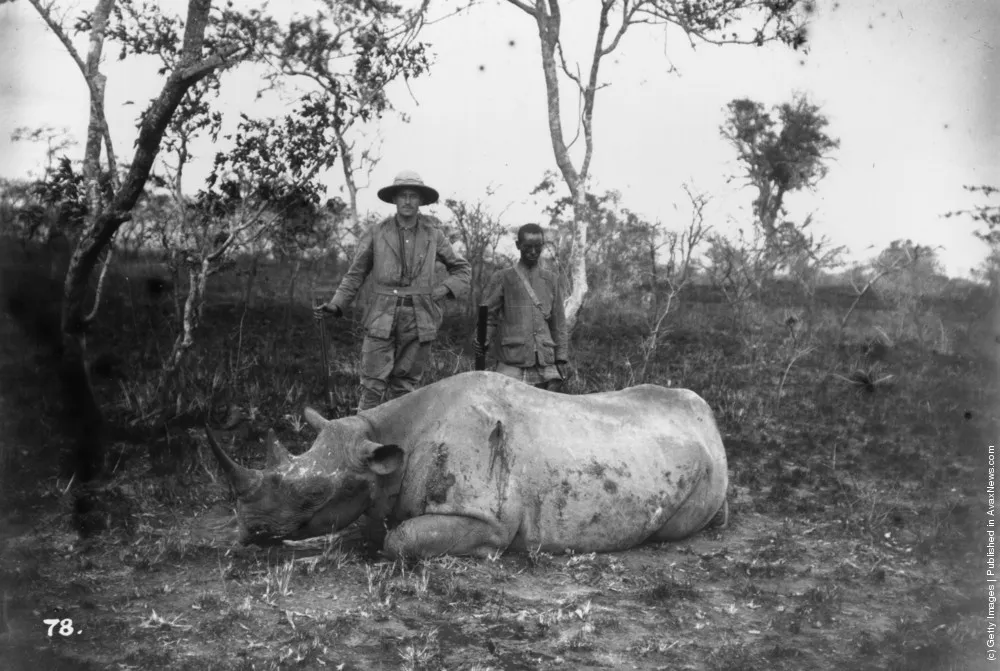 Hunting And Fishing. Part II