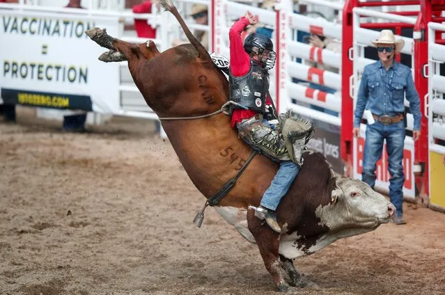 Dakota Butter of Kindersley, Saskatchewan rides the bull Timber Jam in the bull riding event during the rodeo as the Calgary Stampede gets underway following a year off due to coronavirus disease (COVID-19) restrictions, in Calgary, Alberta, Canada on July 9, 2021. (Photo by Todd Korol/Reuters)