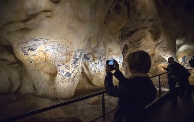 A visitor takes pictures of a replica of pre-historic animals drawings seen on a wall during a press visit of the Cavern of Pont-d'Arc project site in Vallon Pont d'Arc April 8, 2015. (Photo by Robert Pratta/Reuters)