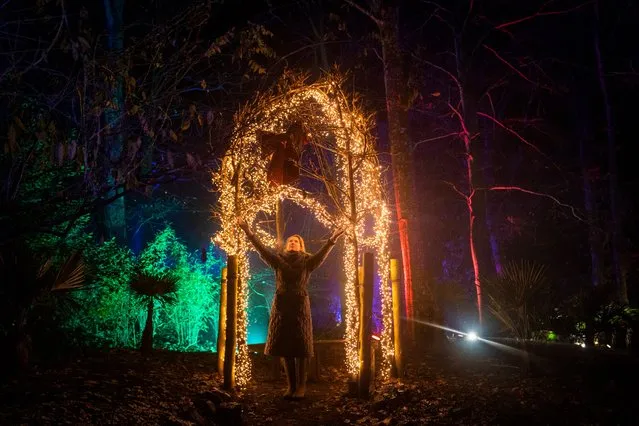 Serena Foyle explores the winter light trail, created by NL Productions, at Monteviot House & Gardens in Jedburgh, Scottish Borders on Wednesday, November 29, 2023. Producer Serena Foyle helped edit the music for the soundscape which accompanies visitors as they walk through the illuminated woodland. (Photo by Jane Barlow/PA Images via Getty Images)