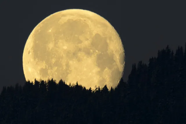 The full moon sets behind the Swiss Alps mountains, in Charrat, Canton of Valais, Switzerland, at dawn of April 6, 2015. Christian celebrate the resurrection of Jesus Christ on Easter Sunday, which falls on the date of the first full moon after the beginning of spring on 21 March. (Photo by Laurent Gillieron/EPA)