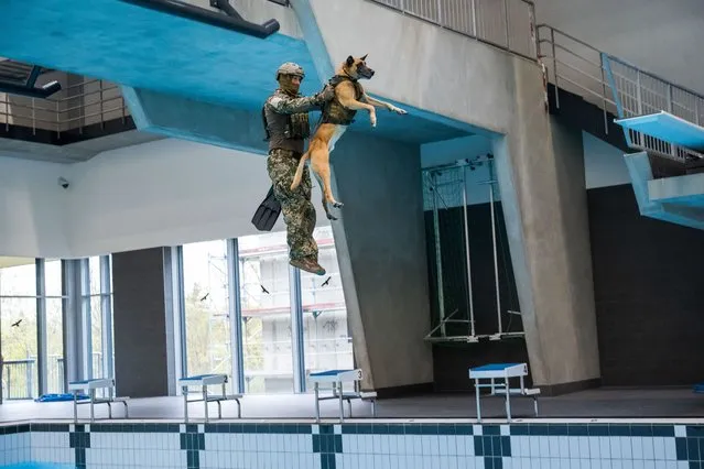 Soldier of the KSK German military special forces shows German Defense Minister Christine Lambrecht the amphibious training with the dog Marc in the Graf-Zeppelin-Kaserne on October 24, 2022 in Calw, Germany. This simulates the jump from the helicopter with dog and landing. The KSK (Kommando Spezialkräfte), part of the Bundeswehr, is Germany's elite military unit. In 2020-2021 it went through a deep reform process following the discovery of far-right links among a number of its members. (Photo by Thomas Lohnes/Getty Images)