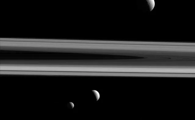 Three of Saturn's moons, Tethys, Enceladus and Mimas, taken in visible light with the Cassini spacecraft narrow-angle camera on December 3, 2015 is shown in this NASA image released on February 22, 2016. Tethys (660 miles or 1,062 kilometers across) appears above the rings, while Enceladus (313 miles or 504 kilometers across) sits just below center. Mimas (246 miles or 396 kilometers across) hangs below and to the left of Enceladus. The Cassini mission is a cooperative project of NASA, ESA (the European Space Agency) and the Italian Space Agency. (Photo by Reuters//NASA/JPL-Caltech/Space Science Institute)