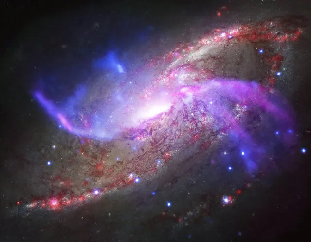 The spiral galaxy NGC 4258, also known as M106, has two extra spiral arms. (Photo by Reuters/NASA)