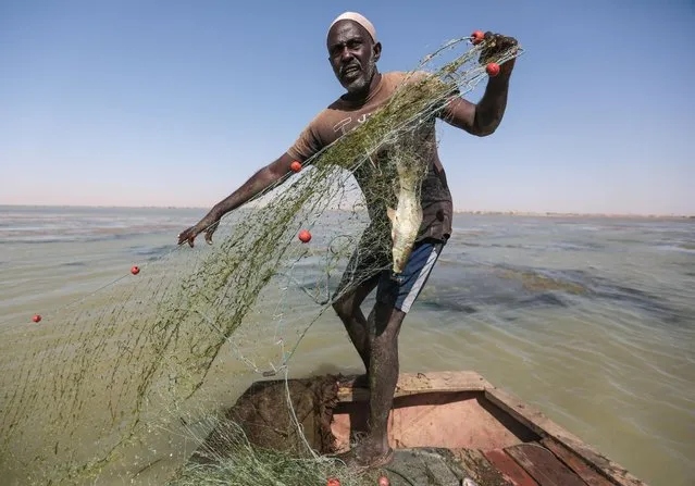 In this Wednesday, April 15, 2015 photo, a Sudanese fisherman gathers his net while fishing in the Nile River on the outskirts of Khartoum, Sudan. (Photo by Mosa'ab Elshamy/AP Photo)
