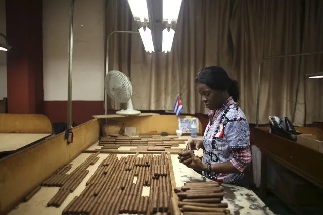 Milagros Suarez, 41, works at the quality control room at the Corona Tobacco factory in Havana, March 3, 2016. (Photo by Alexandre Meneghini/Reuters)