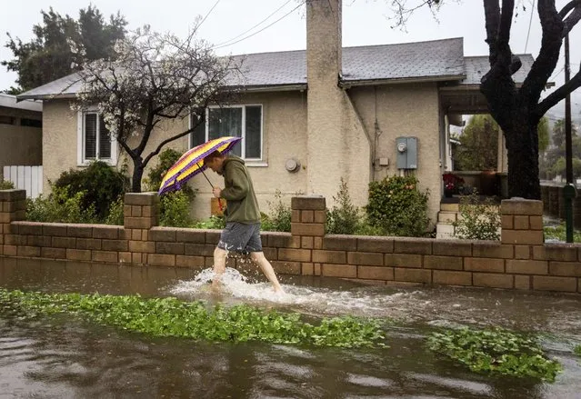 A pedestrian walks through floodwaters during a rainstorm, Sunday, February 4, 2024, in Santa Barbara, Calif. (Photo by Ethan Swope/AP Photo)