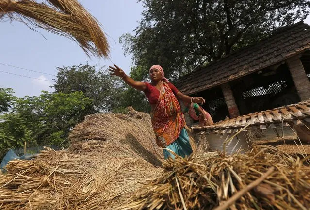 A woman works with straw on the outskirts of Kolkata, India, March 30, 2016. (Photo by Rupak De Chowdhuri/Reuters)