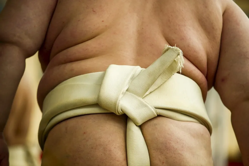 Sumo Wrestling – the Honozumo