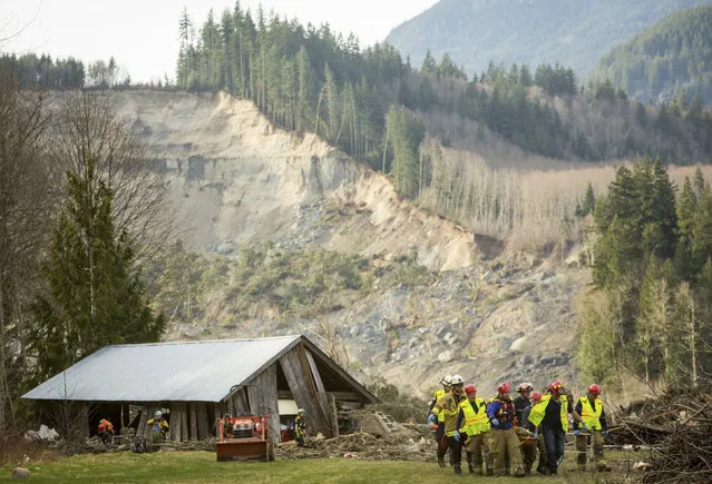 Rescue workers remove one of a number of bodies from the wreckage of homes destroyed by a mudslide near Oso, Wash., Monday, March 24, 2014. The search for survivors of Saturday's deadly mudslide grew Monday to include scores of people who were still unaccounted for as the death toll from the wall of trees, rocks and debris that swept through the rural community rose to at least 14. (Photo by Joshua Trujillo/AP Photo/Seattlepi.com)