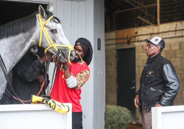 Trainer Larry Demeritte, right, checks out Kentucky Derby hopeful West Saratoga as he is readied by assistant trainer Donte Lowery before a morning workout at Keeneland in Lexington, Ky on April 19, 2024. The horse will travel to Churchill Downs April 26. (Photo by Matt Stone/The Courier Journal)