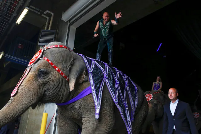 Sixth generation circus performer Tabayara Maluenda waves after riding a performing elephant in Ringling Bros and Barnum & Bailey Circus' “Circus Extreme” show at the Mohegan Sun Arena at Casey Plaza in Wilkes-Barre, Pennsylvania, U.S., April 30, 2016. (Photo by Andrew Kelly/Reuters)