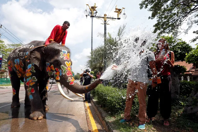 An elephant sprays tourists with water in celebration of the Songkran Water Festival in Ayutthaya province, north of Bangkok, Thailand on April 13, 2017. (Photo by Chaiwat Subprasom/Reuters)