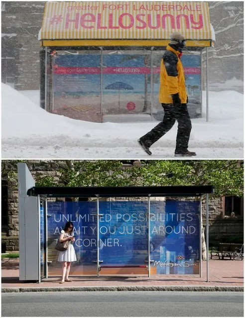 A combination picture shows a pedestrian walking past a bus stop during a winter blizzard in Boston, Massachusetts, United States February 15, 2015 (top), and a commuter waiting at the same bus stop June 10, 2015. (Photo by Brian Snyder/Reuters)