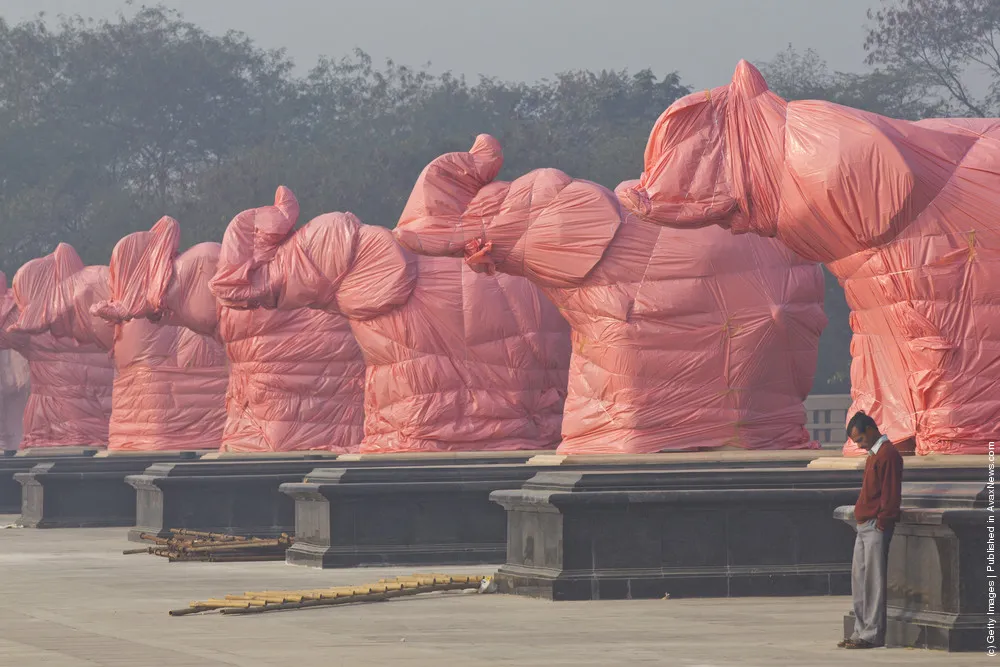 Elephant Statues Of BSP Party Symbol Covered Ahead Of State Elections In India