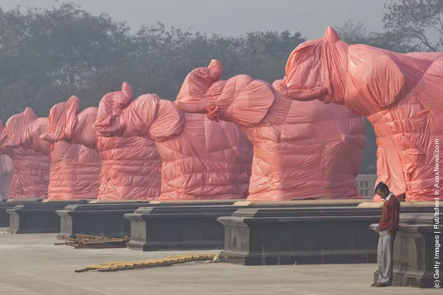 Elephant Statues Of BSP Party Symbol Covered Ahead Of State Elections In India