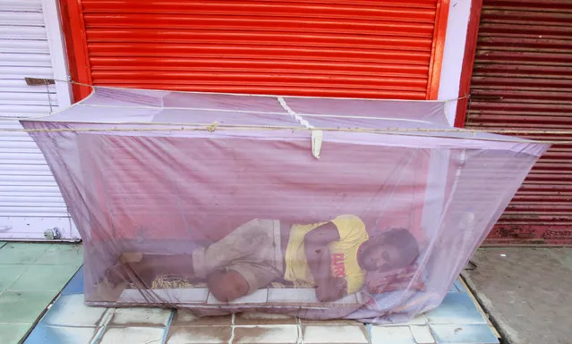 A man sleeps under a mosquito net installed in front of closed shops on a hot summer morning in Agartala, India, May 9, 2016. (Photo by Jayanta Dey/Reuters)