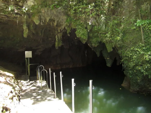 Waitomo Glowworm Caves New Zealand