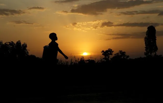 A boy carries a bucket at sunset in the village of Kogelo, west of Kenya's capital Nairobi, July 15, 2015. (Photo by Thomas Mukoya/Reuters)