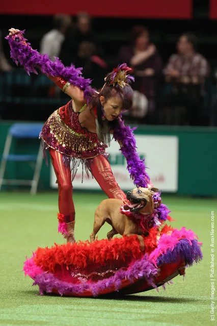 A dog and its owner perform a routine in the main arena on Day three of Crufts at the Birmingham NEC Arena