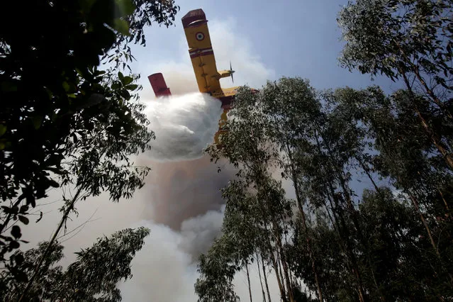A firefighting plane dumps water on a forest fire in Louriceira, Portugal, June 20, 2017. (Photo by Miguel Vidal/Reuters)