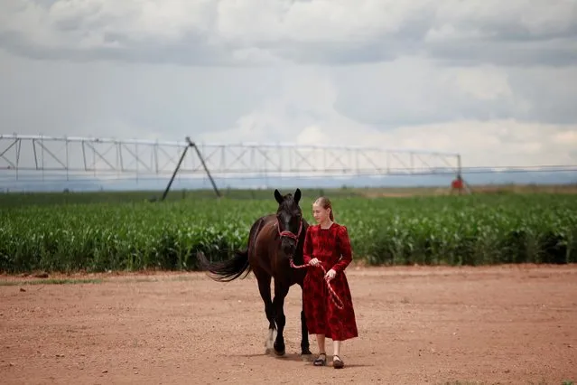 A girl poses for a picture with her horse near an agricultural field in the Mennonite community of Buenos Aires, Janos, Chihuahua, Mexico on December 26, 2015. (Photo by Jose Luis Gonzalez/Reuters)